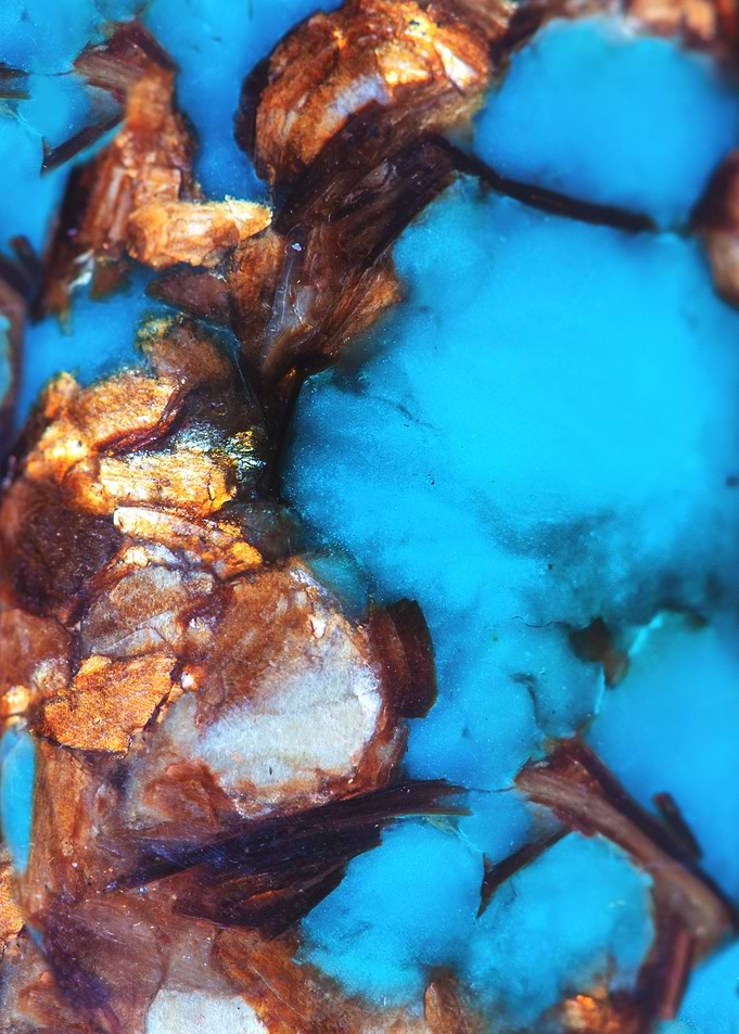 Turquoise