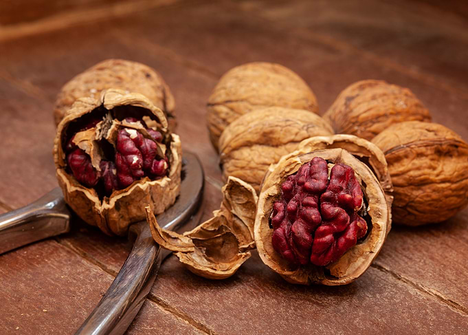 Red Danube Walnuts