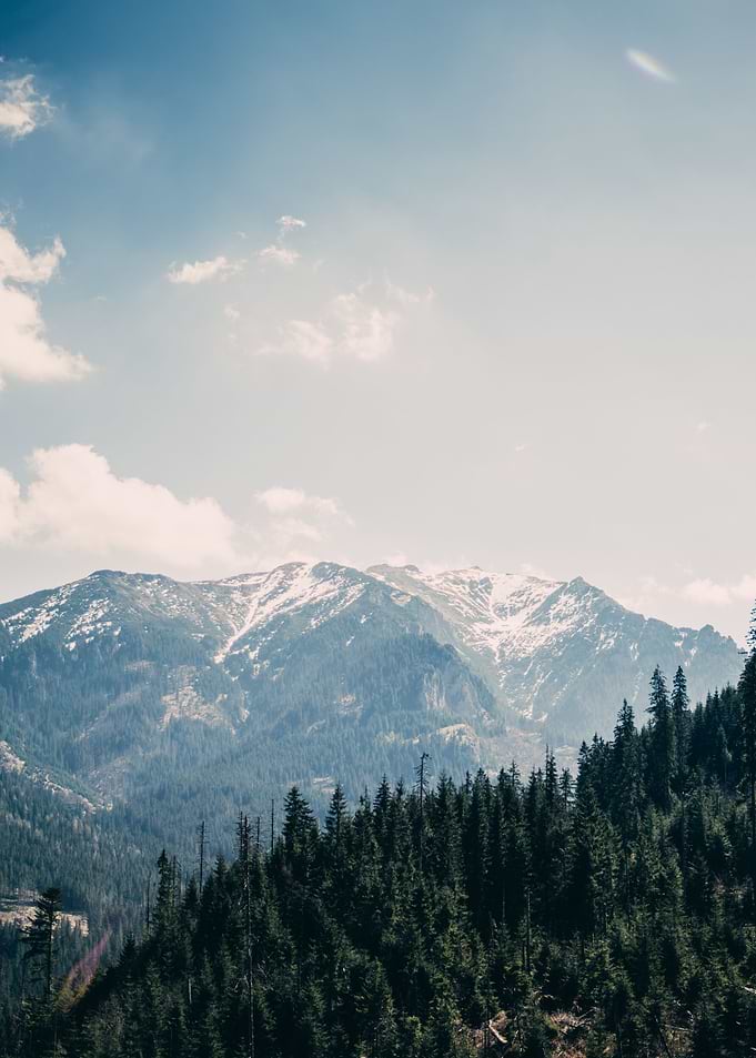 Blue Mountain Top