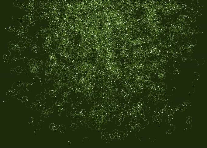 Network Mesh