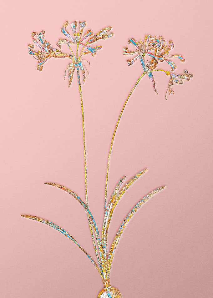 Pink Rainbow Mosaic Flower