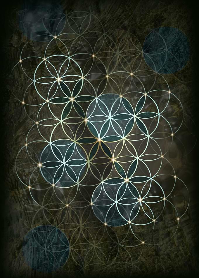 Flower of live
