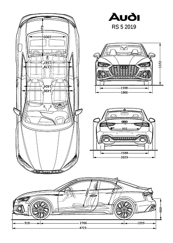 BNW Audi RS 5 2019