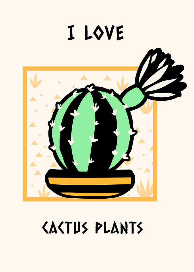 I love cactus plants