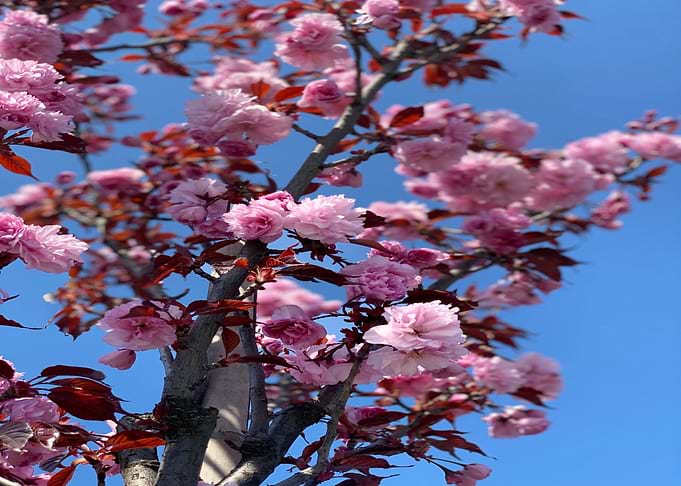 Color Of Heaven