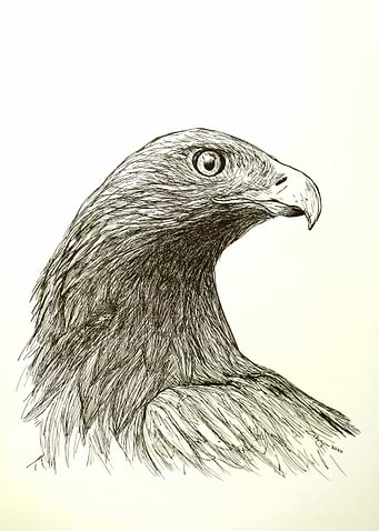 Eagle