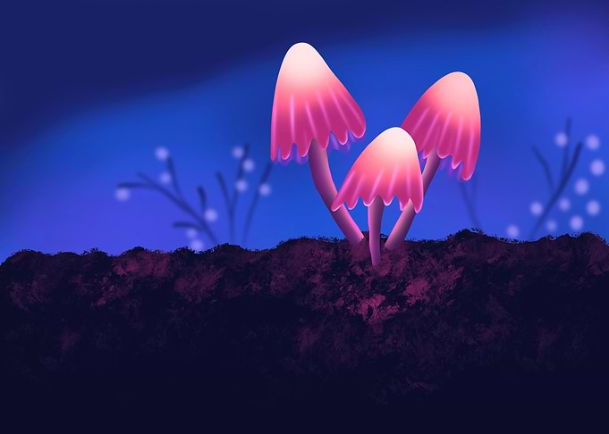 Mushrooms
