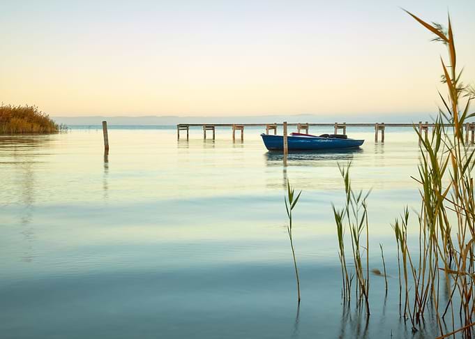 Calm Morning