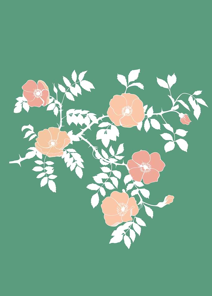 Rosehip