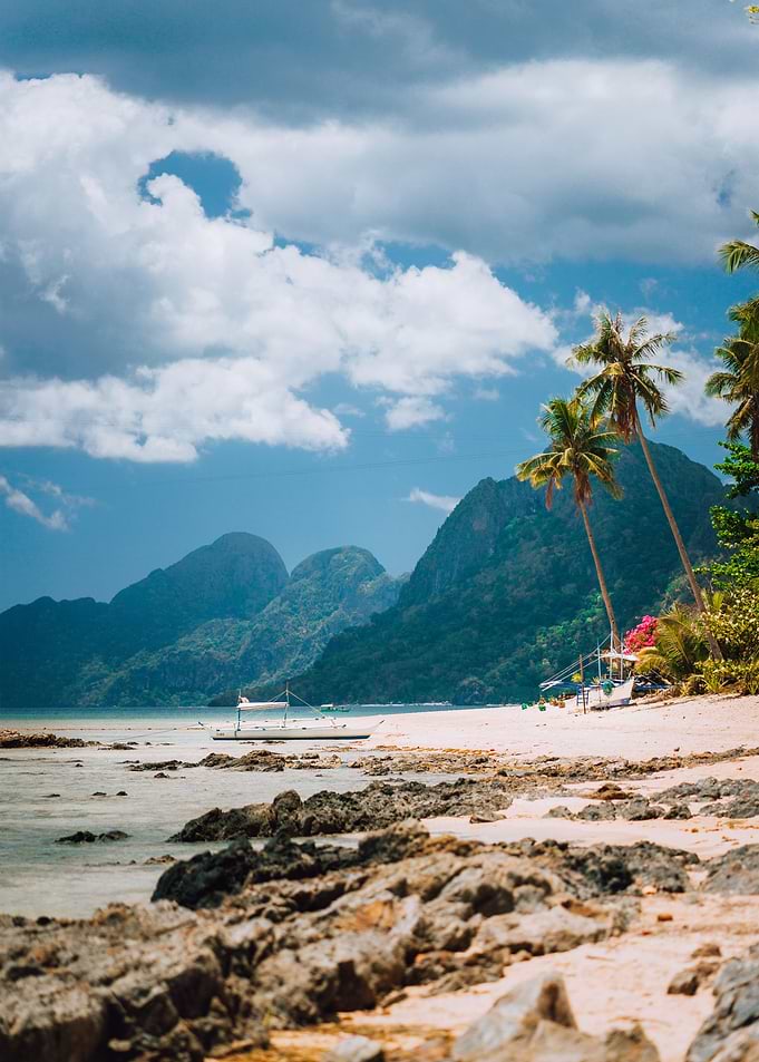 Las Cabanas Beach Palm Tre