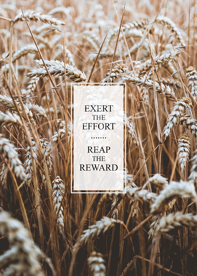 Exert Effort Reap Rewards