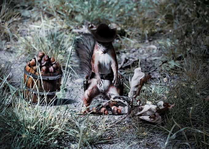The Acorn Kid