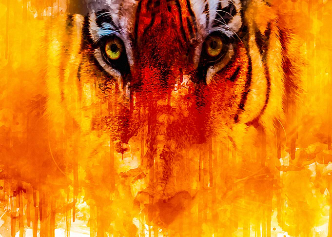 Life Pi 4