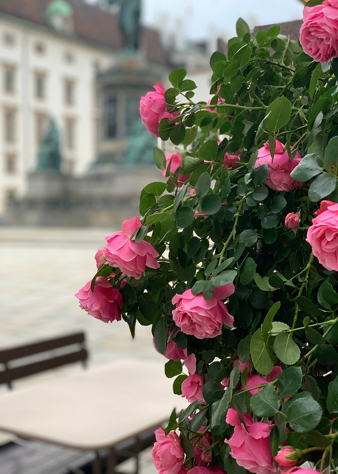 Italy Park