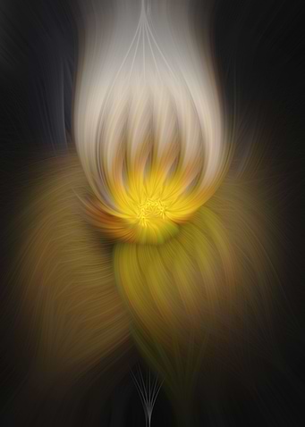 Abstract image composed of