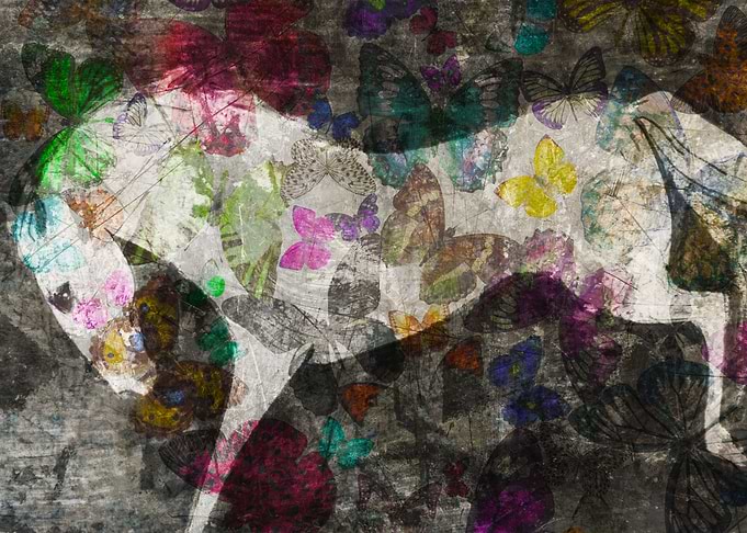 Butterfly horse
