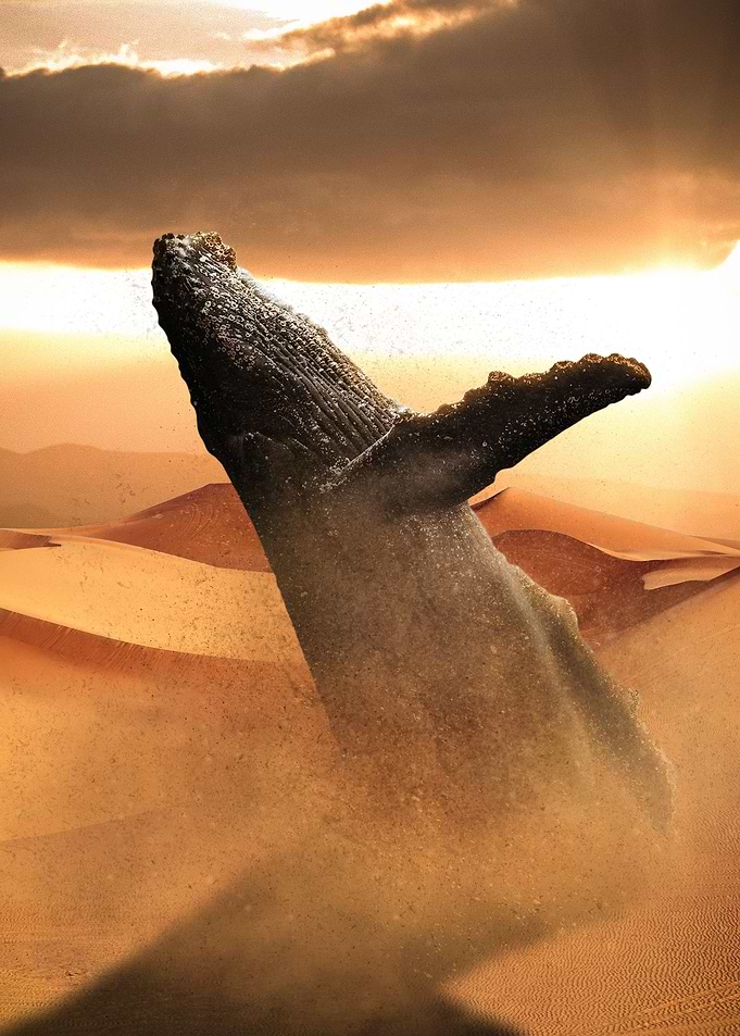 Sand Whale