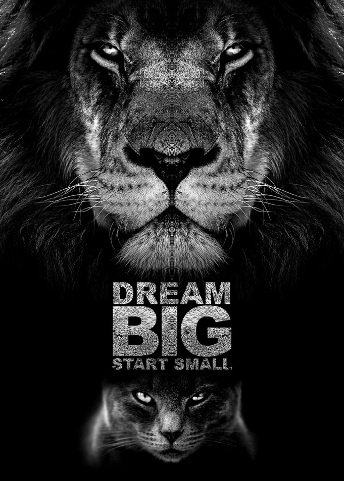 Dream BIG Start Small