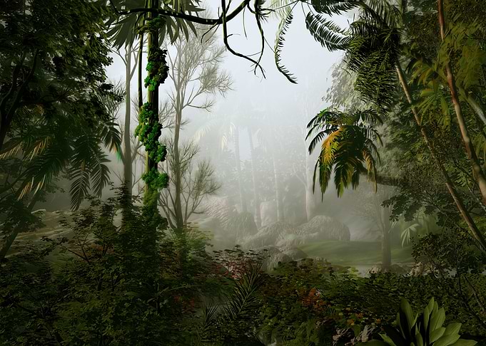 Hazy Forest
