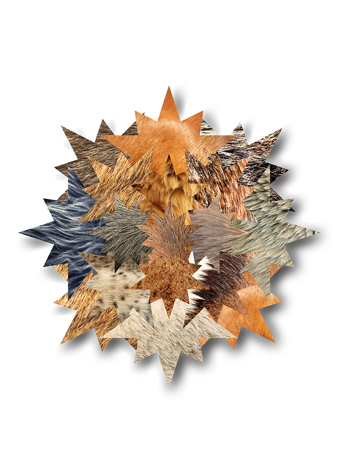 Fur texture stars