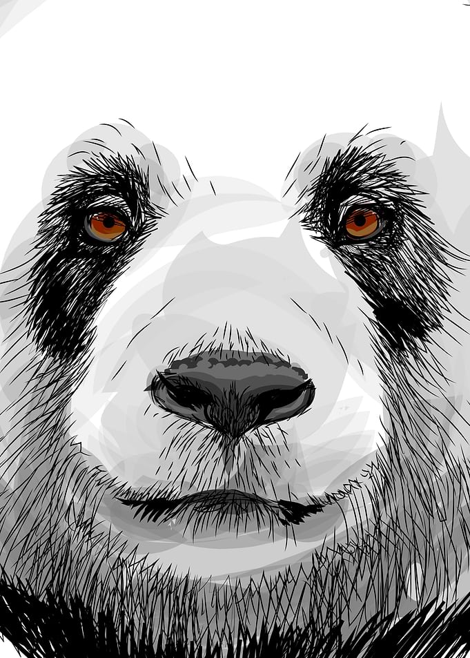 Sketch Panda