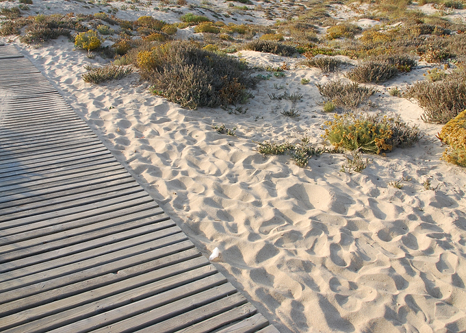 Beach Walkw
