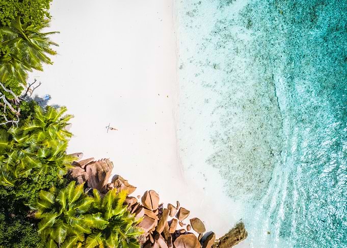 Girl Sunbathing On Tropica