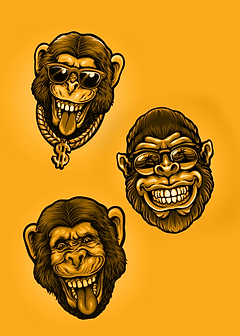 Monkey