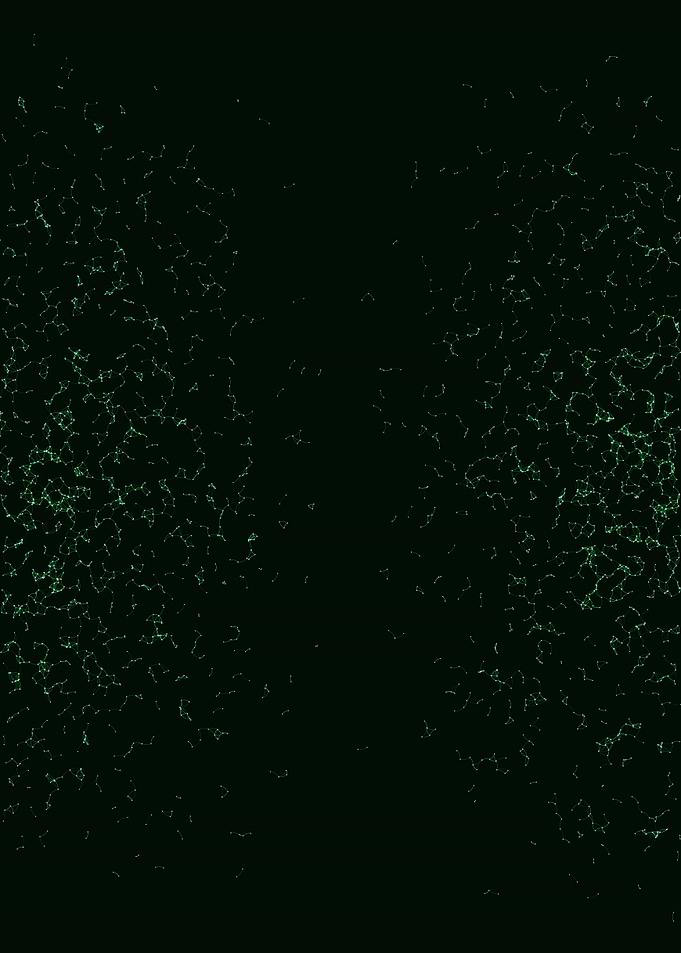 Network Mesh