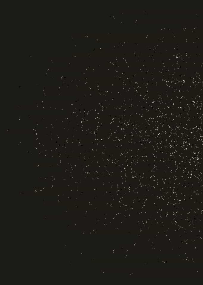 Network Mesh