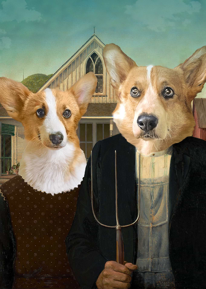 Corgi Farmer
