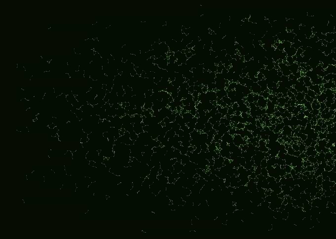 Network Mesh