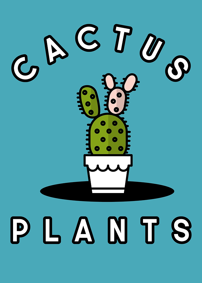 Cactus Plants Flowers