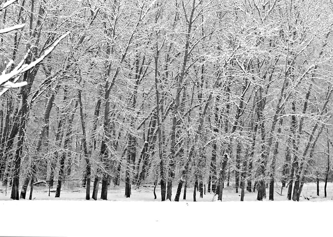 Image Picture Background