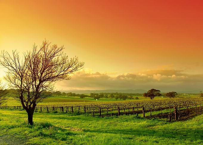 Agriculture Australia Baro