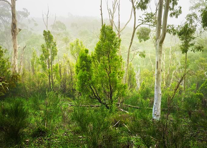 Adelaide Hills Australia B