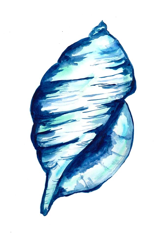 Blue Seashell