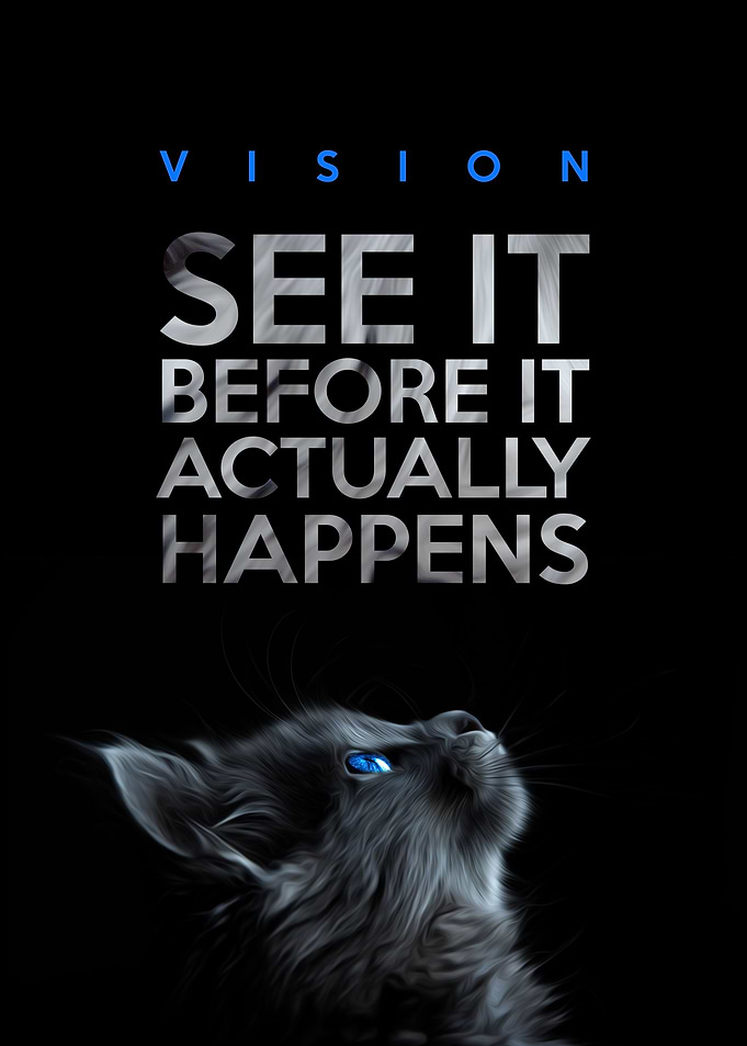 Vision