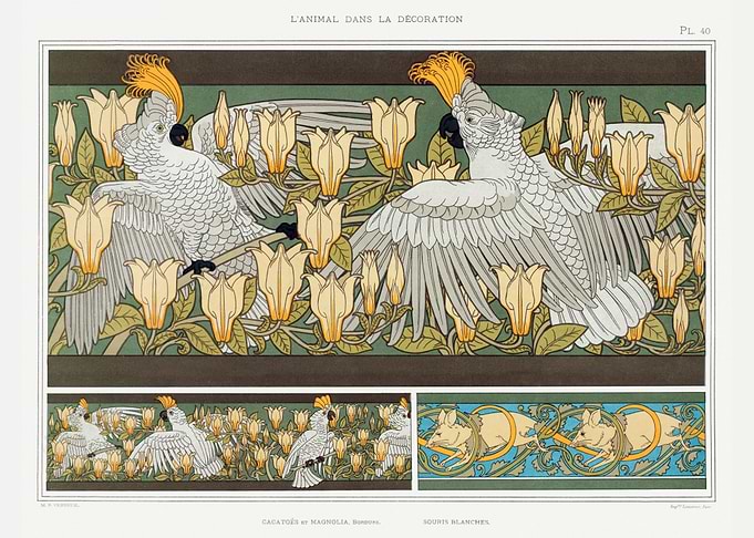 Cockatoos and magnolia bor