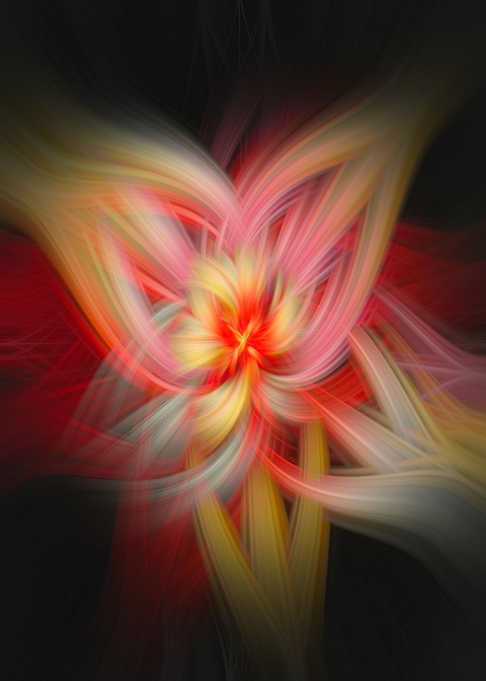 Twirl Photography