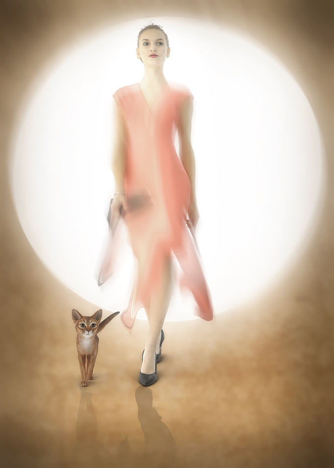 Fashion