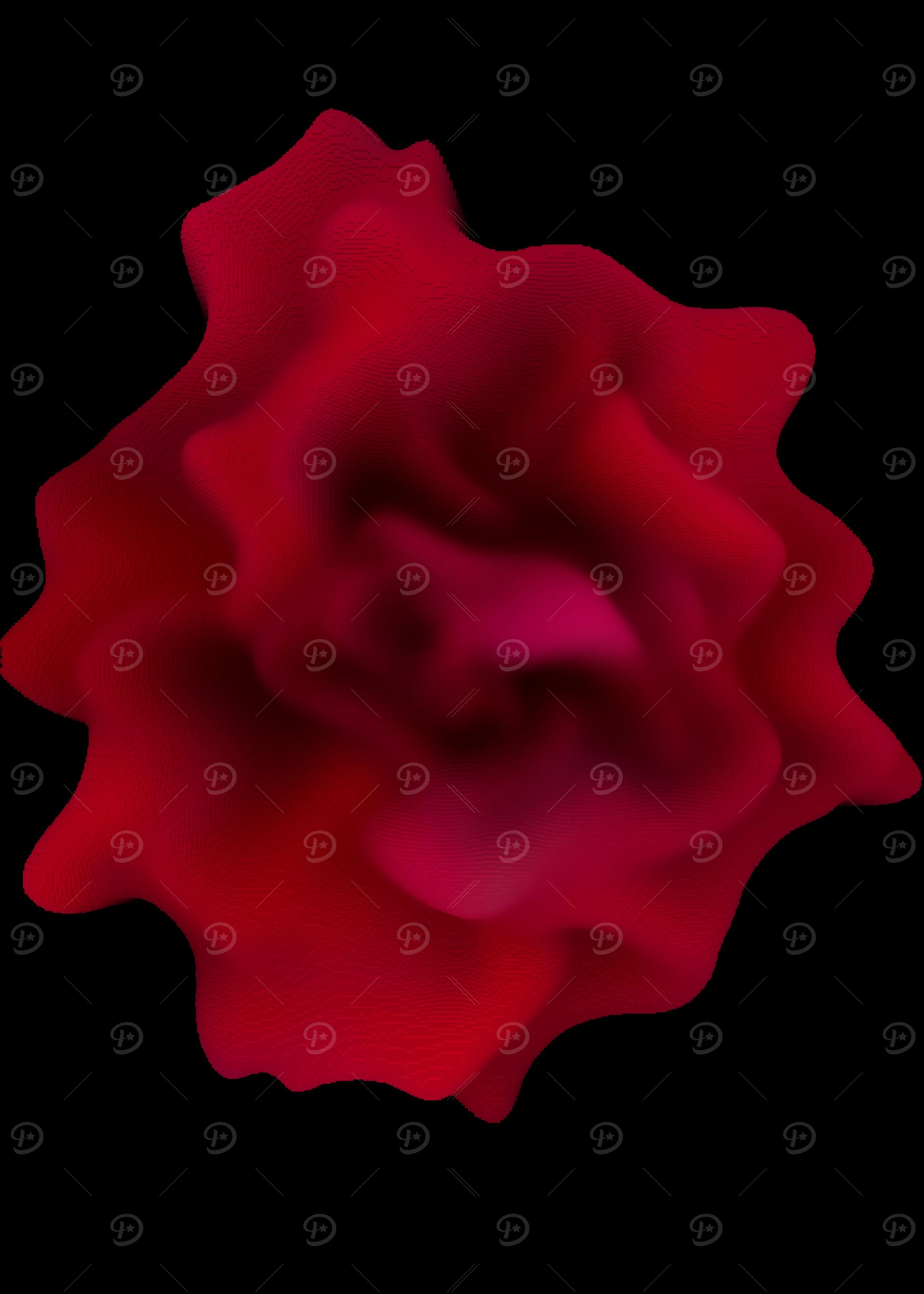 Red rose