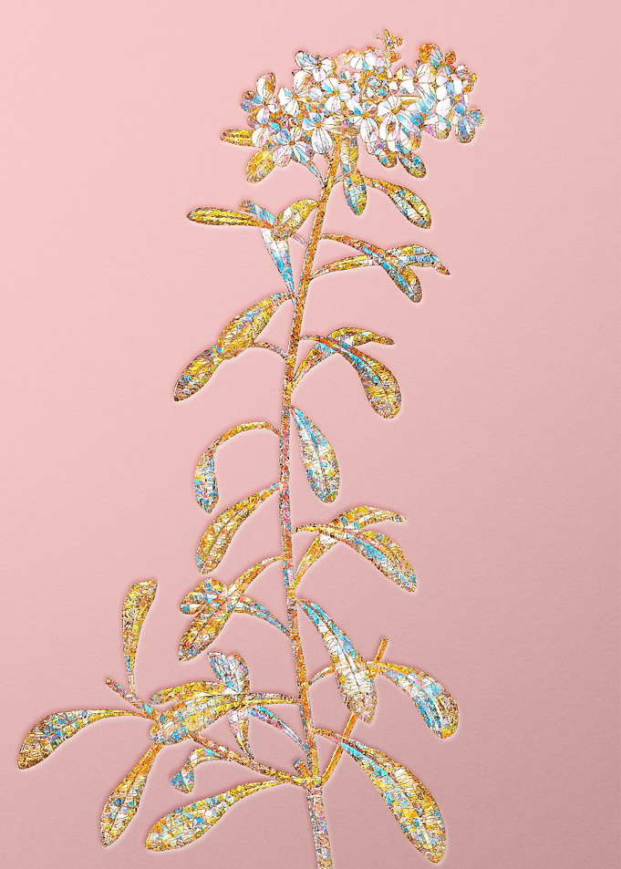 Pink Rainbow Mosaic Flower