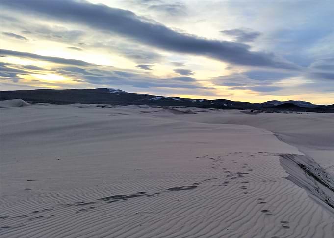 Through the Desert
