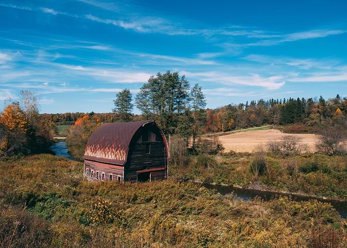 Barn in Lisle NY