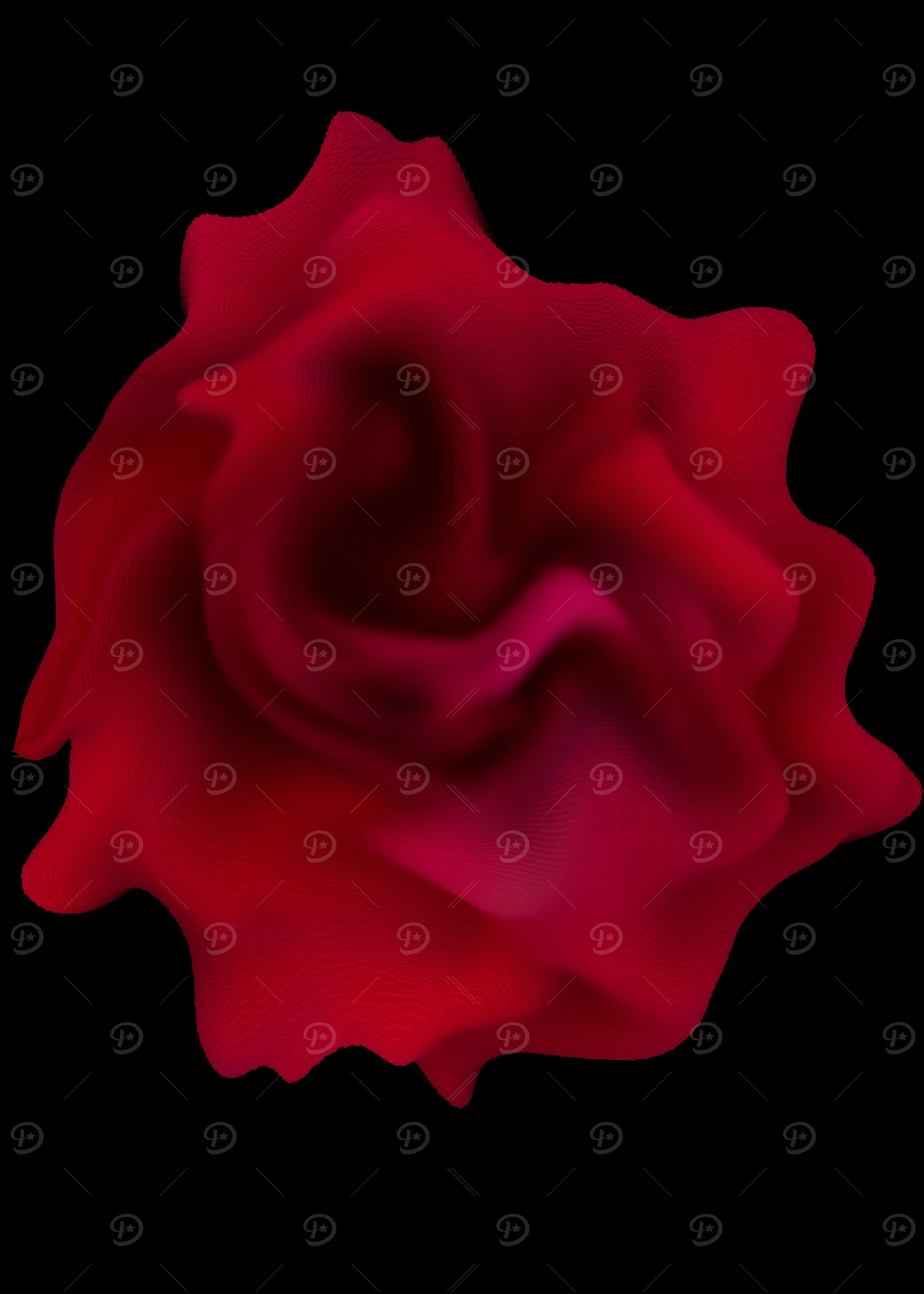 Red rose