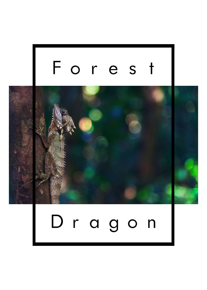 Forest Dragon Owner Nature