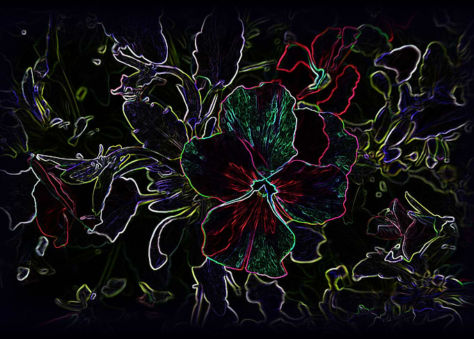 Glowing pansy contours