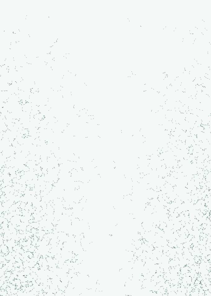 Network Mesh