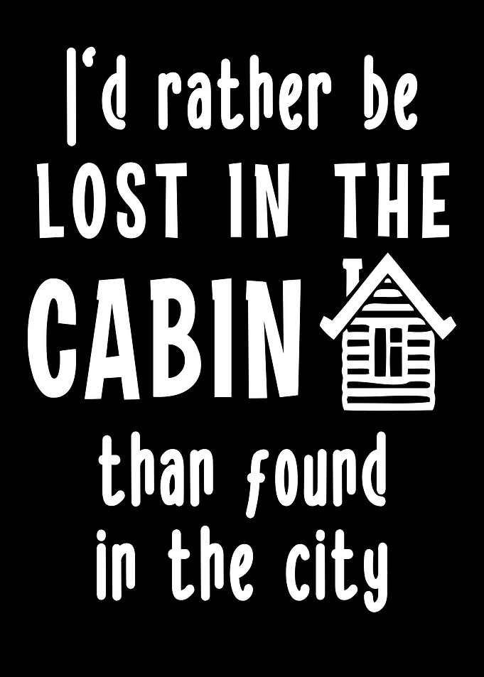 Lost in the Cabin
